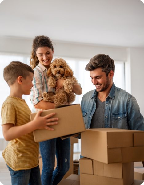 removalists beaumaris