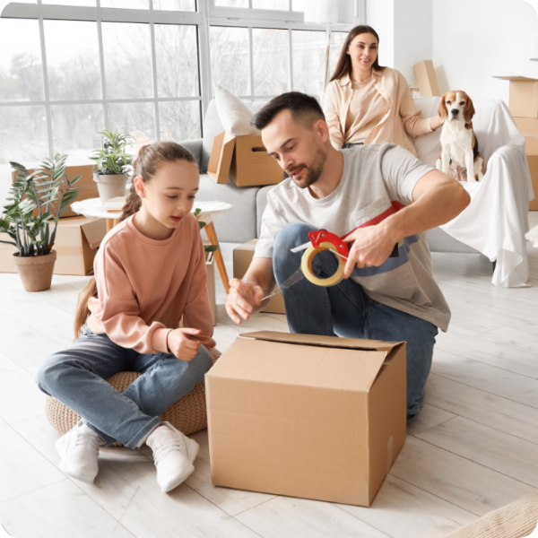 removalists highett