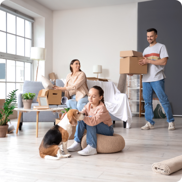 removalists highett