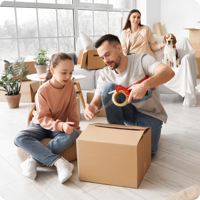 hallam removalists