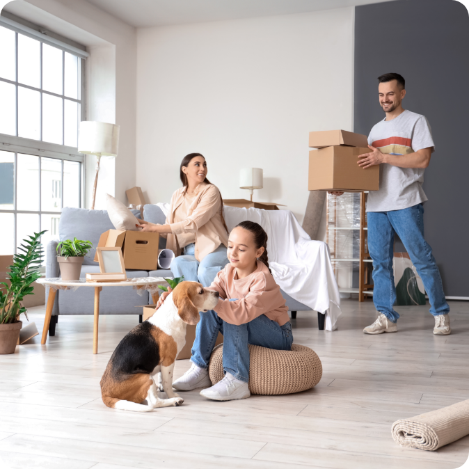 removalists hampton