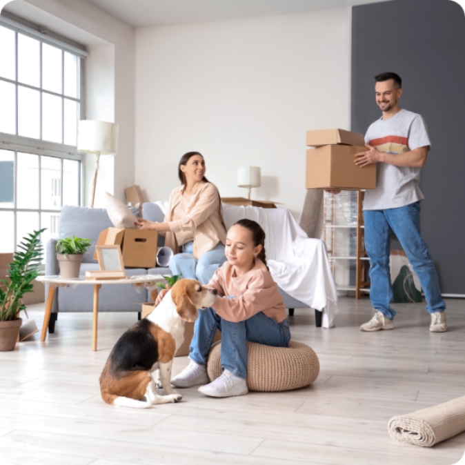 removalists springvale