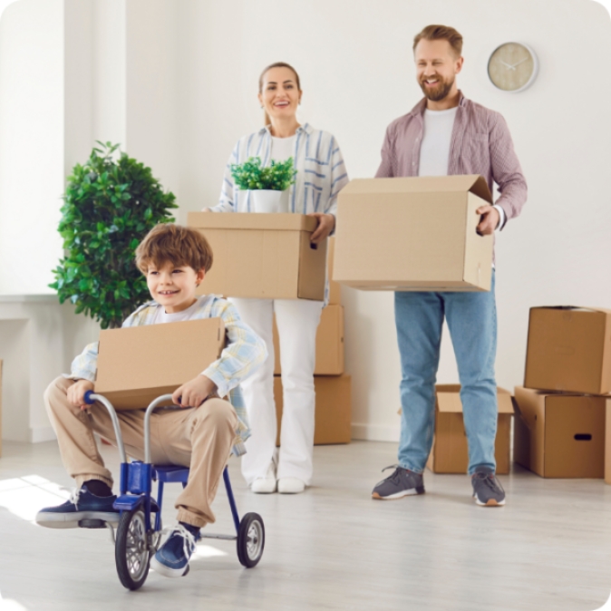 seaford removals